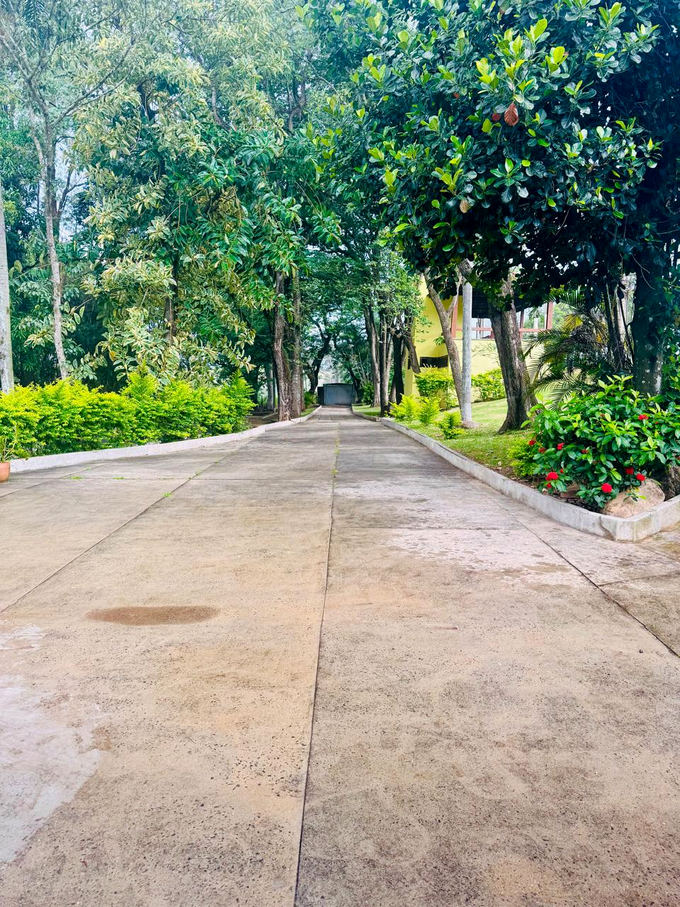 Caminho de entrada arborizado da unidade em Estiva Gerbi